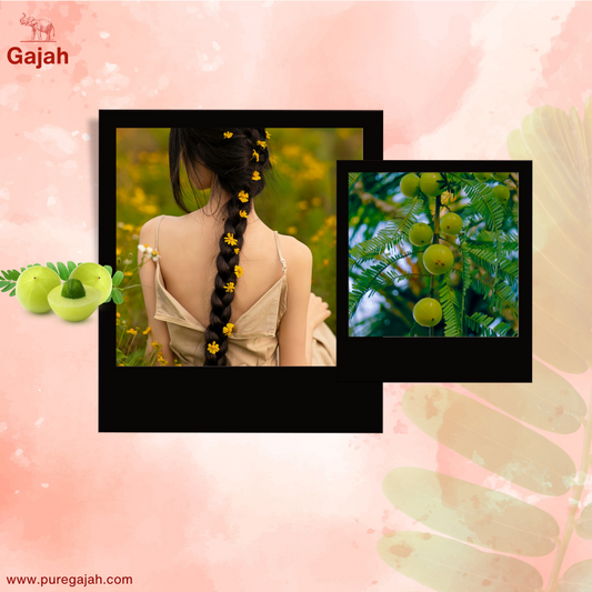 How Long Should I Massage My Scalp for Hair Growth?