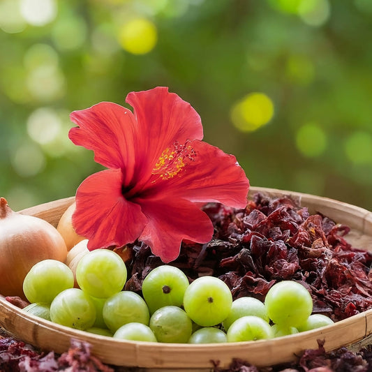 Understanding Natural Ingredients in Hair Care Products
