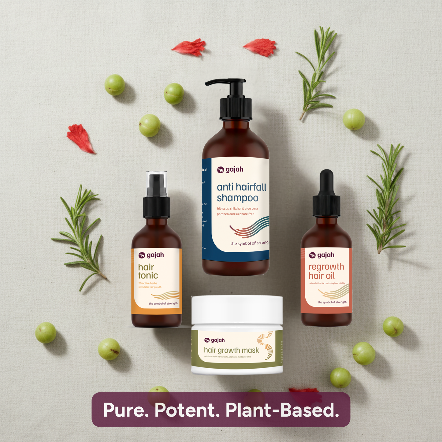 Gajah Hair Care Kit - Hair Tonic, Regrowth Hair Oil, Anti Hairfall Shampoo and Hair Mask