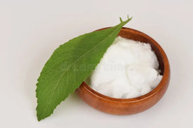 Camphor & Menthol